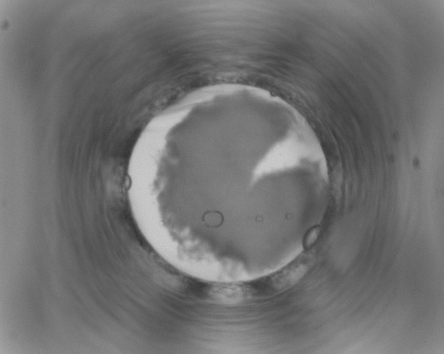 X0000064740181200603131328