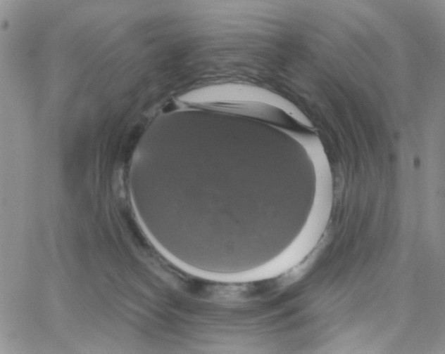 X0000064740182200603131328