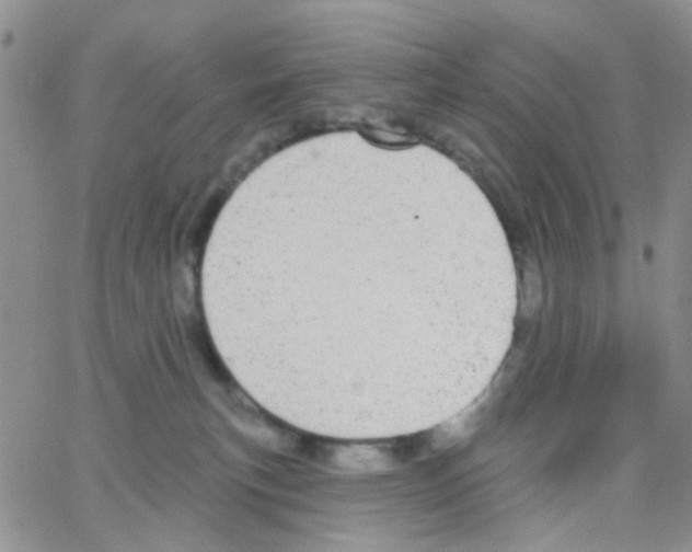 X0000064740183200603131328