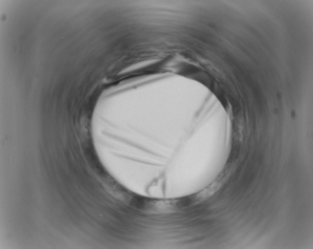 X0000064740184200603131328