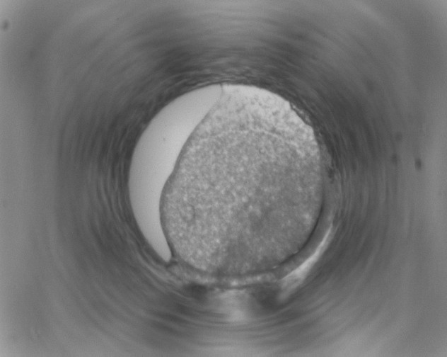 X0000064740186200603131328