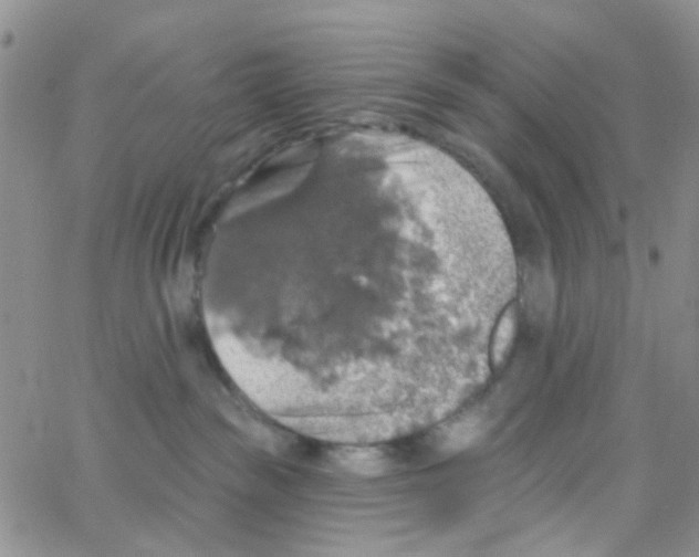 X0000064740189200603131328