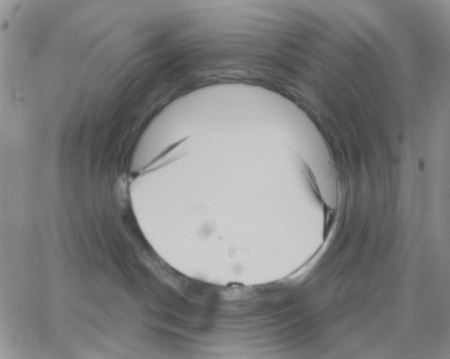 X0000064740190200603131328