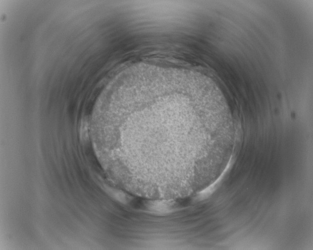 X0000064740191200603131328