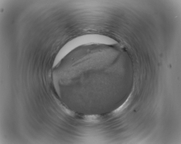 X0000064740192200603131328