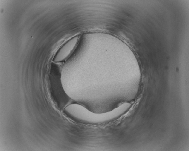 X0000064740193200603131327