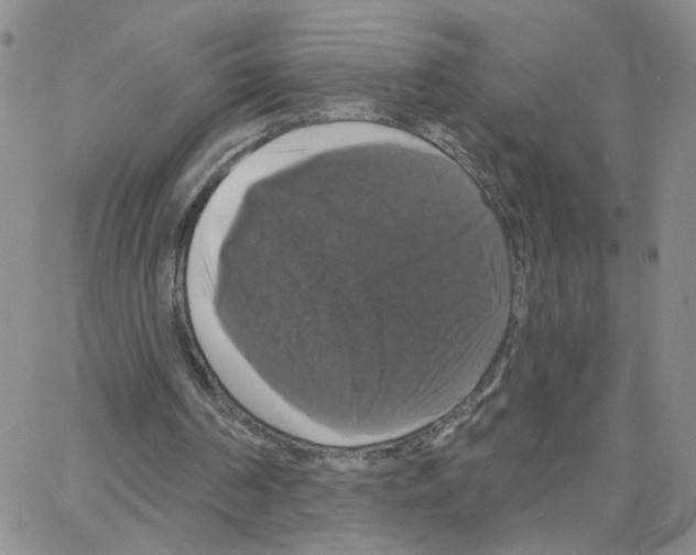 X0000064740194200603131327