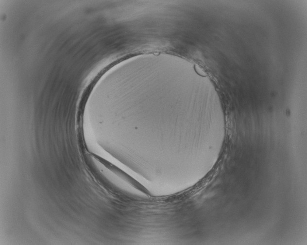 X0000064740196200603131327