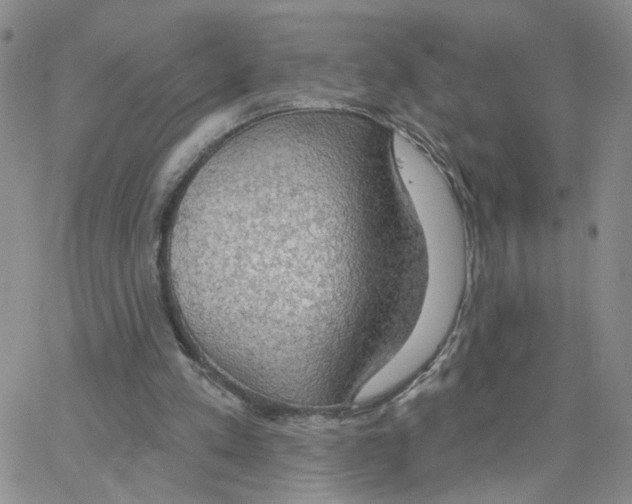 X0000064740197200603131327