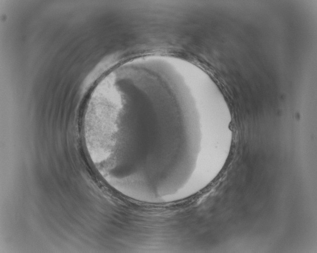 X0000064740198200603131327