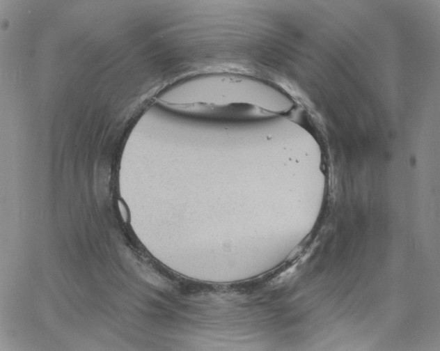 X0000064740201200603131327