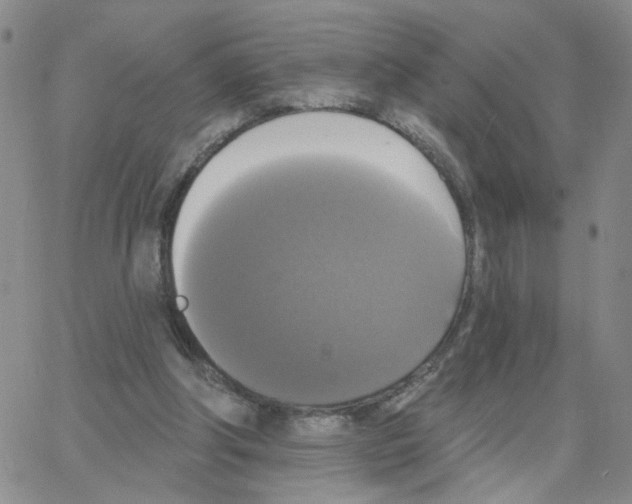 X0000064740202200603131327