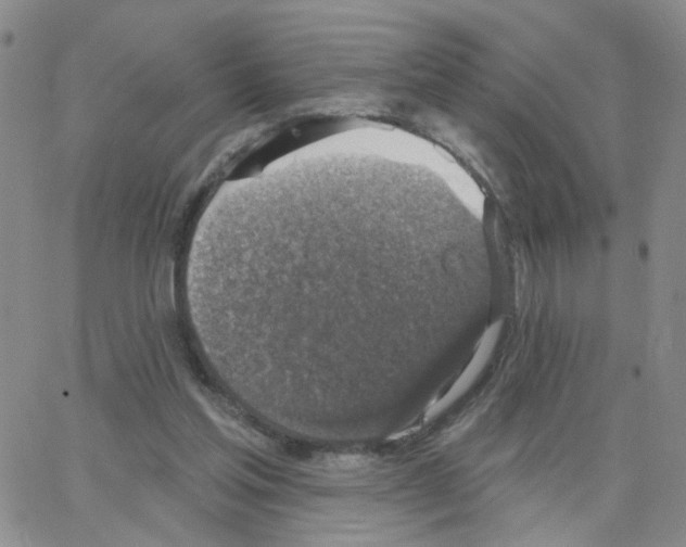 X0000064740205200603131327