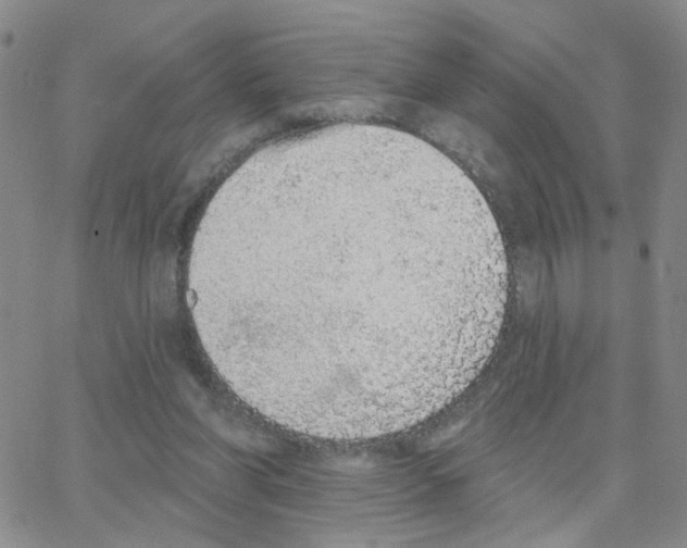 X0000064740206200603131327