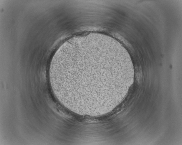 X0000064740207200603131327