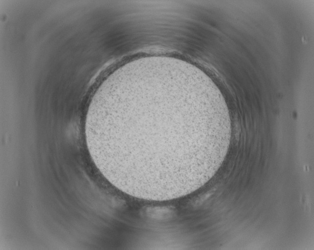 X0000064740208200603131327