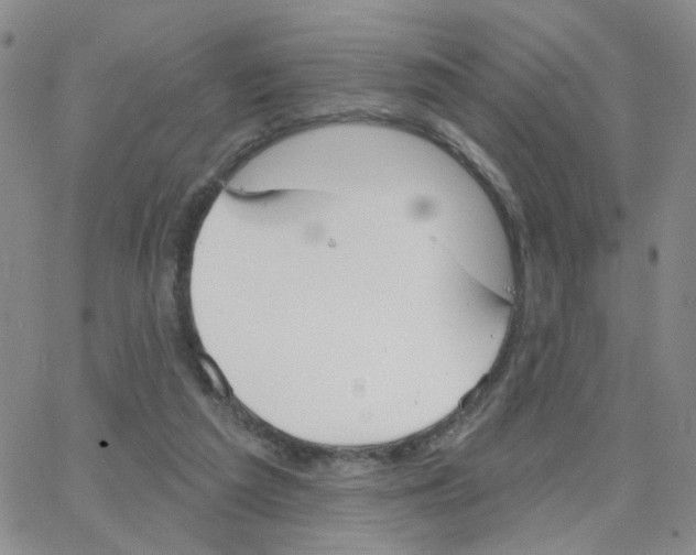 X0000064740209200603131327