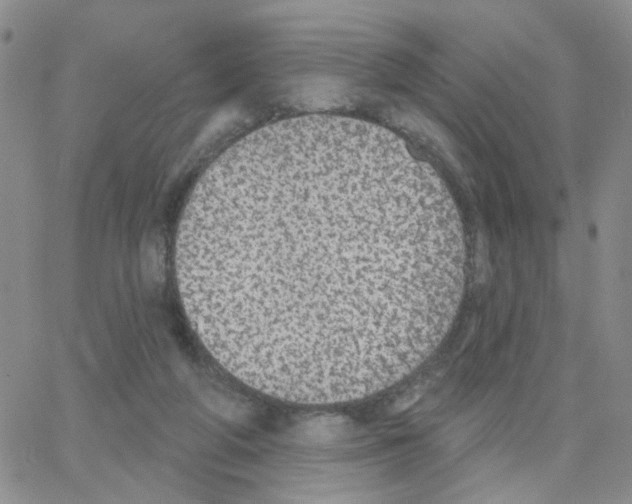 X0000064740210200603131327