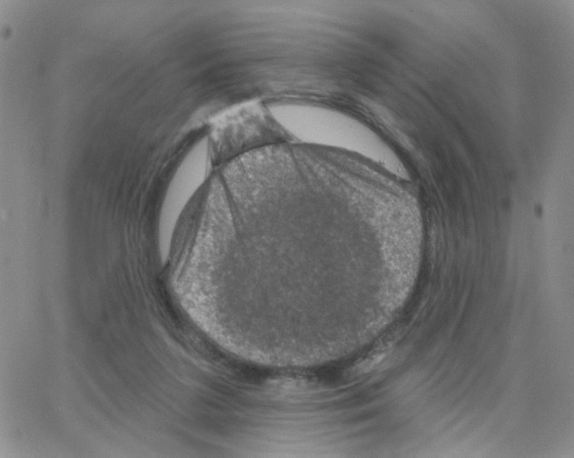 X0000064740211200603131327