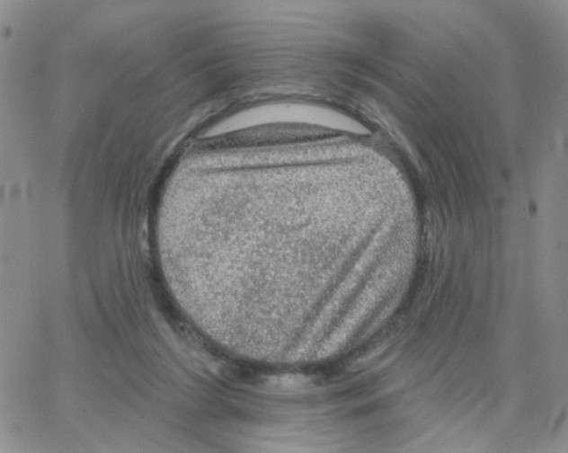 X0000064740212200603131327