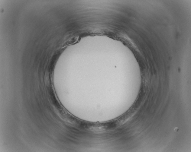 X0000064740213200603131326