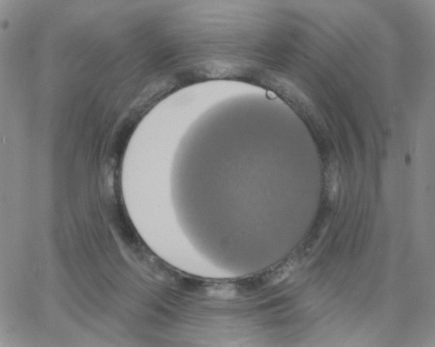 X0000064740214200603131326