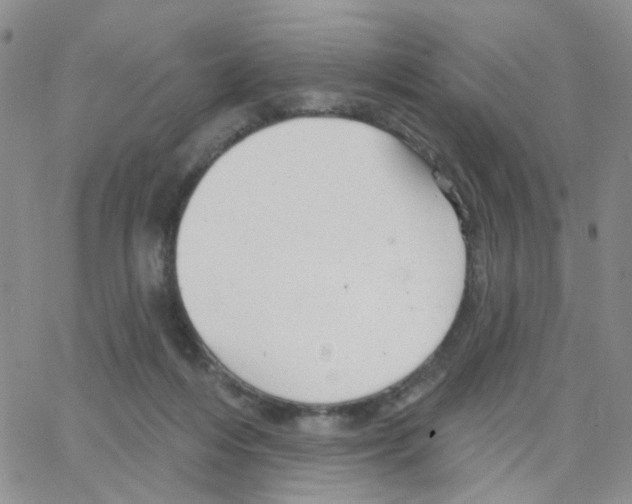 X0000064740216200603131326