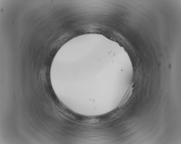 X0000064740217200603131326