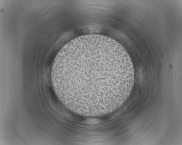 X0000064740218200603131326