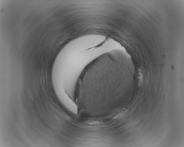 X0000064740219200603131326