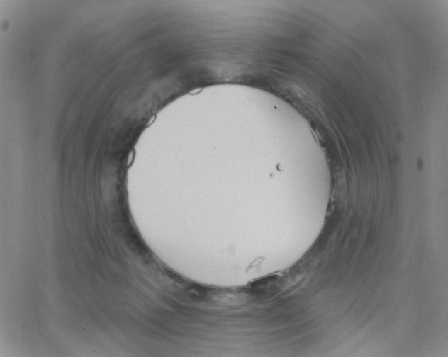 X0000064740221200603131326