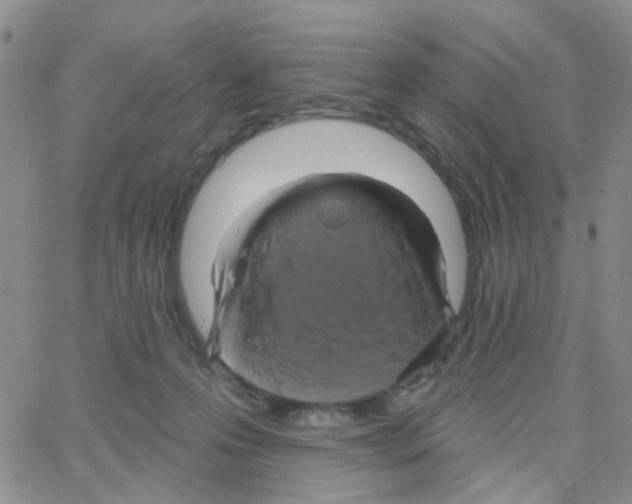 X0000064740223200603131326