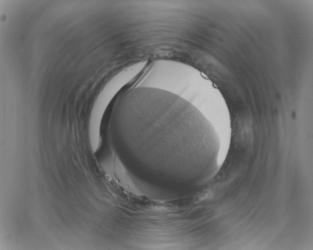 X0000064740224200603131326