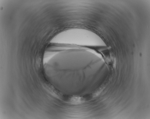 X0000064740227200603131326