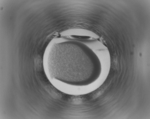 X0000064740228200603131326