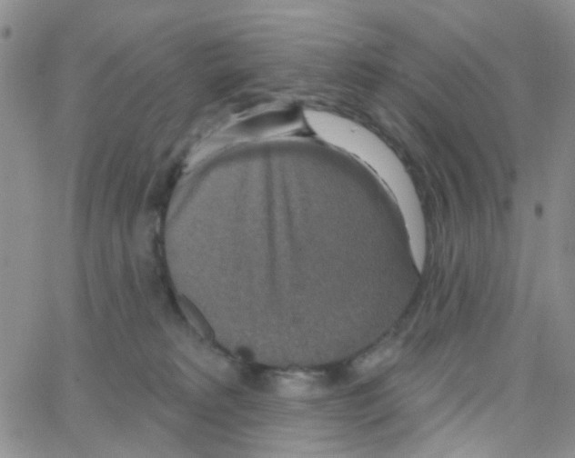 X0000064740229200603131326