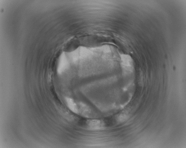 X0000064740230200603131326