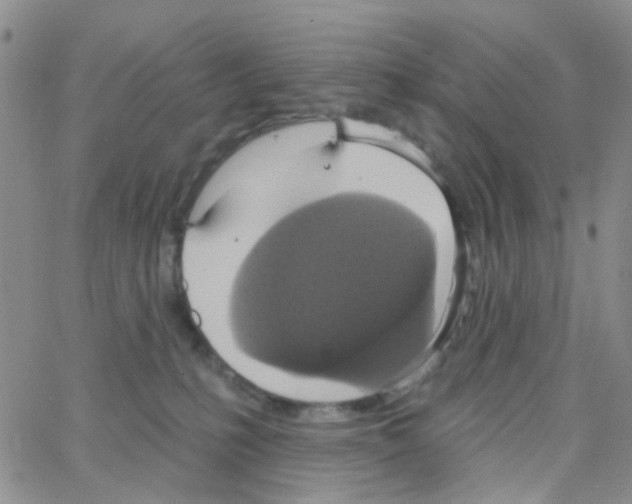 X0000064740231200603131326