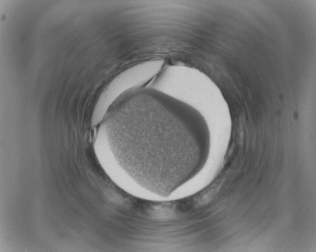 X0000064740232200603131326