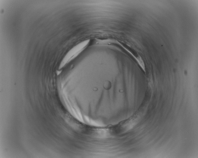 X0000064740233200603131326