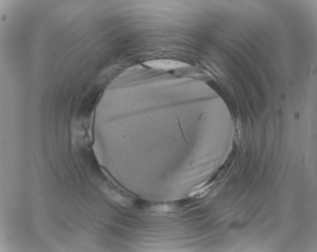 X0000064740237200603131326