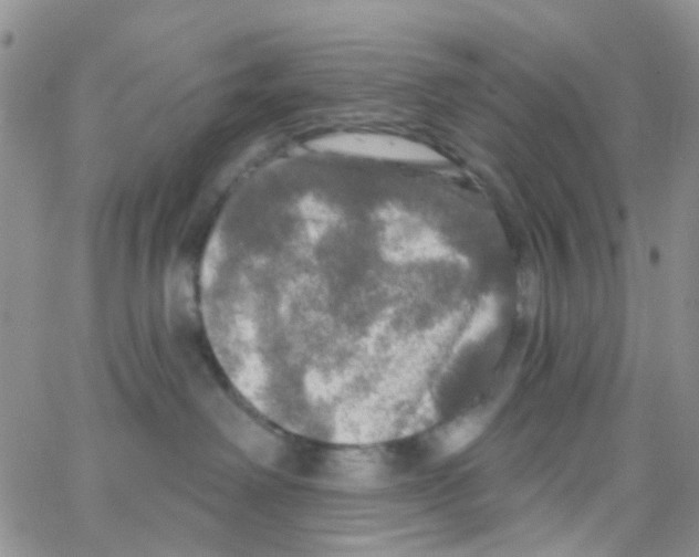 X0000064740238200603131326