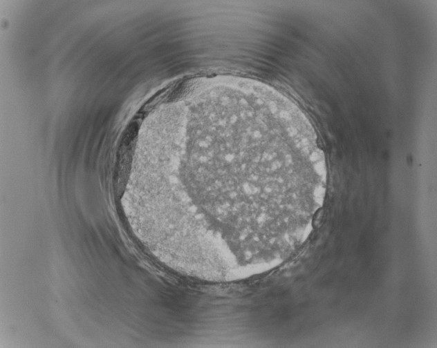 X0000064740241200603131325