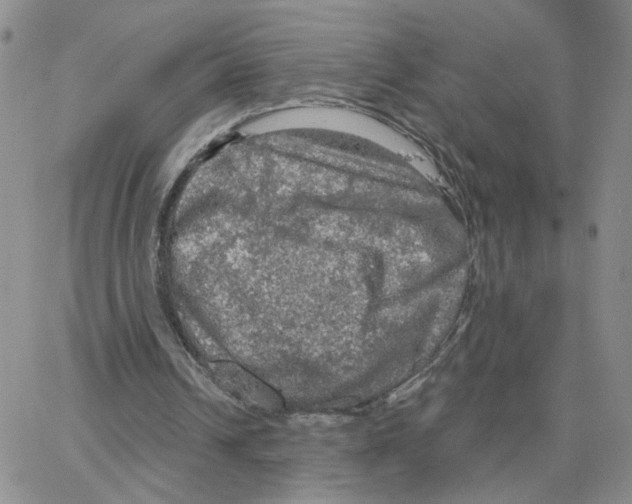 X0000064740242200603131325