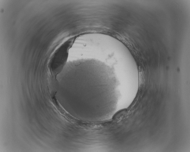 X0000064740243200603131325