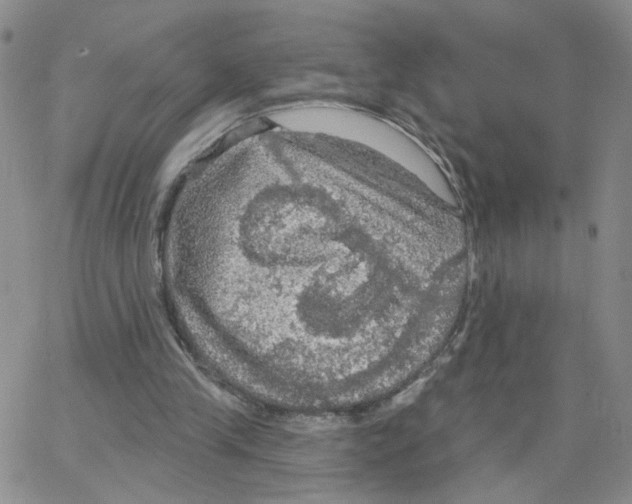 X0000064740245200603131325