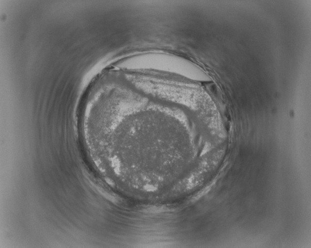 X0000064740246200603131325