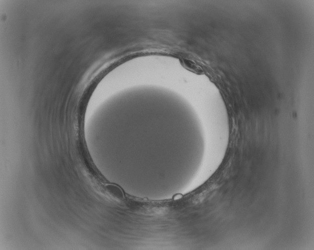 X0000064740247200603131325