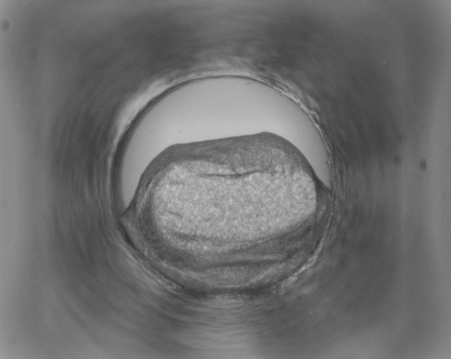 X0000064740248200603131325