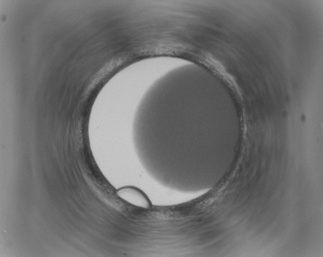 X0000064740250200603131325